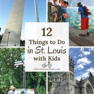 12 things to do in st. louis with kids