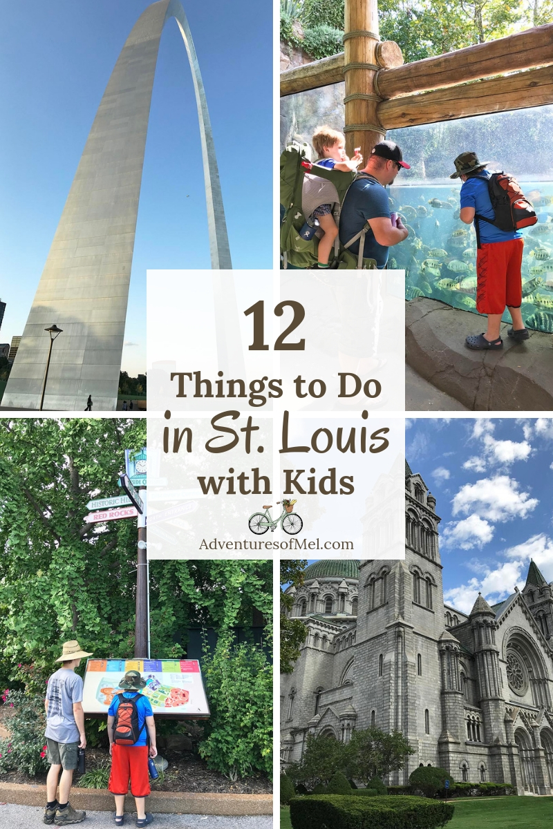 12 things to do in st. louis with kids