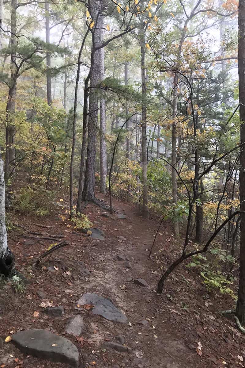 uphill on Whitaker Point Trail in the fall