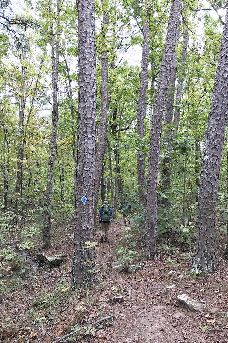 hikers hiking through the forest of Seven Hollows Trail in Petit Jean State Park in the Natural State