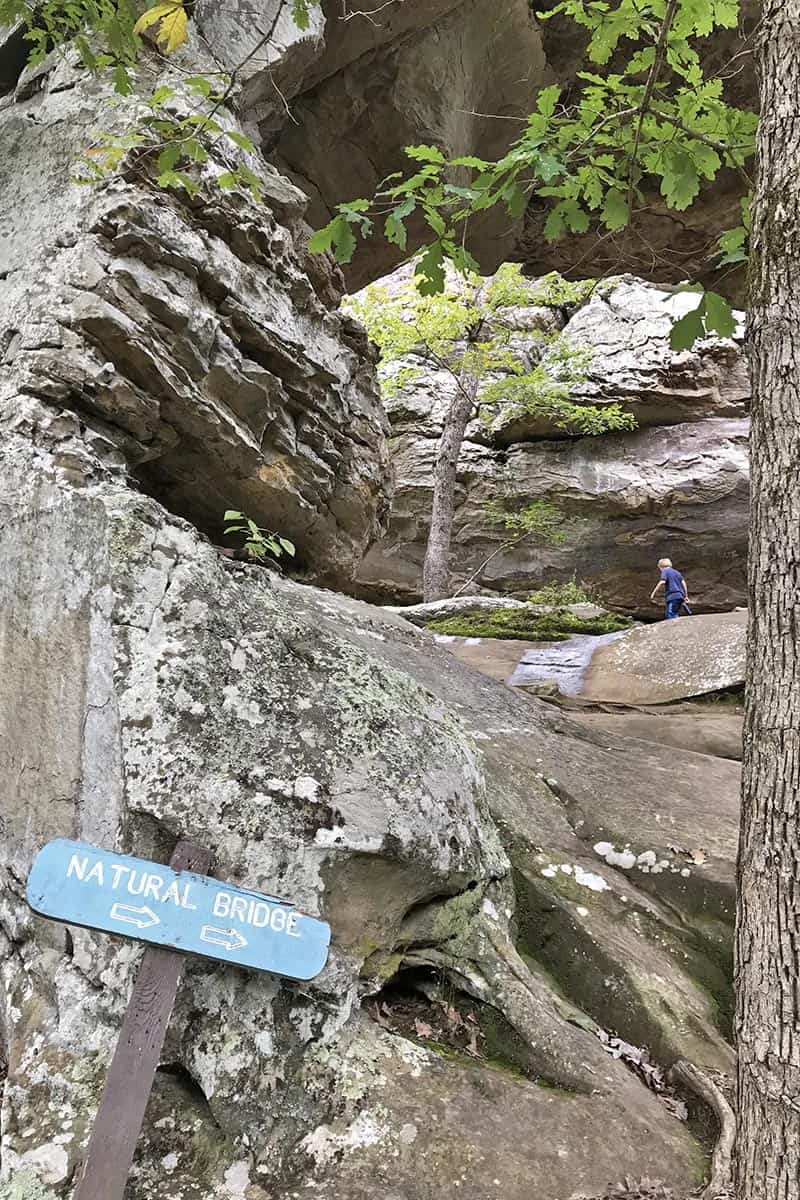 sign pointing to the Natural Bridge on Seven Hollows Trail in Petit Jean