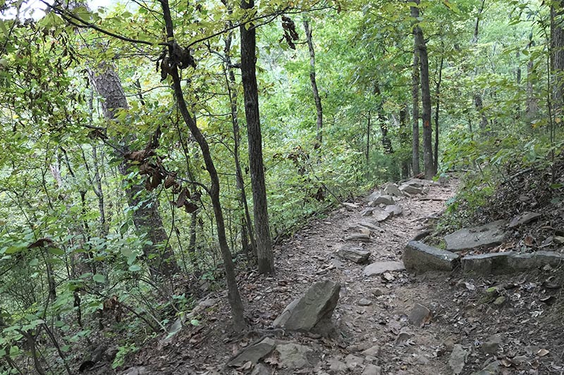 rocky trail going down to Cedar Falls in Petit Jean State Park