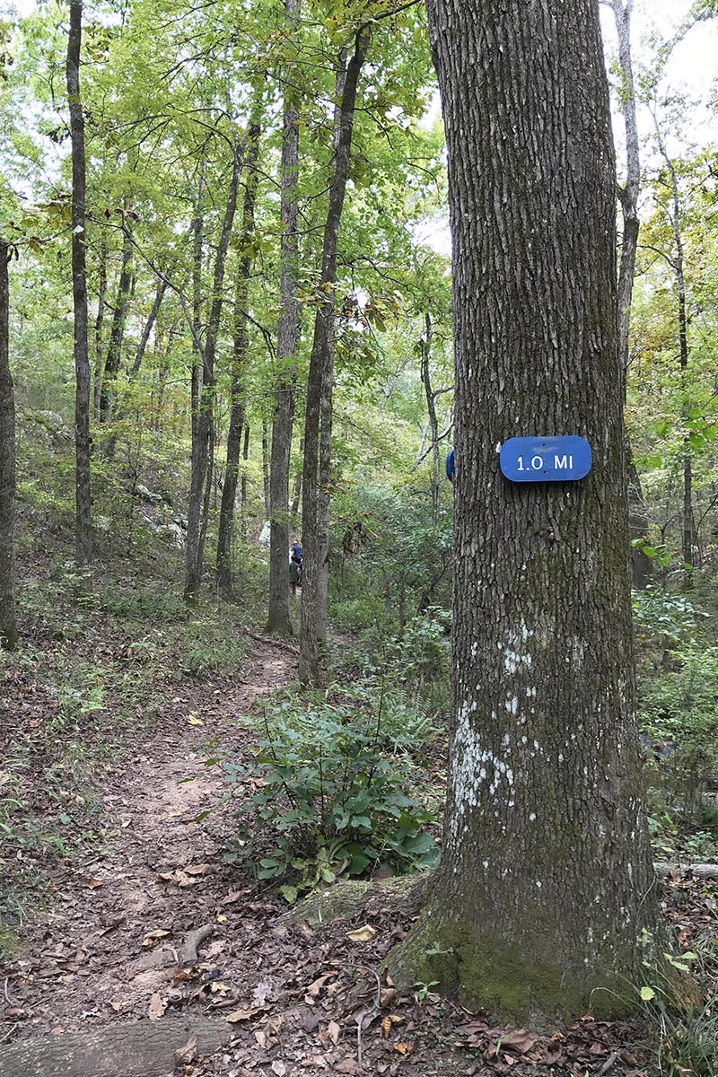 blue mile marker on Seven Hollows Trail in Petit Jean State Park