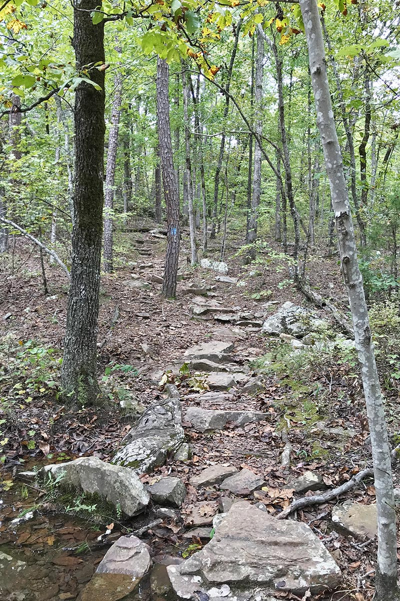 rocky descent on Seven Hollows Trail in Petit Jean State Park in Arkansas