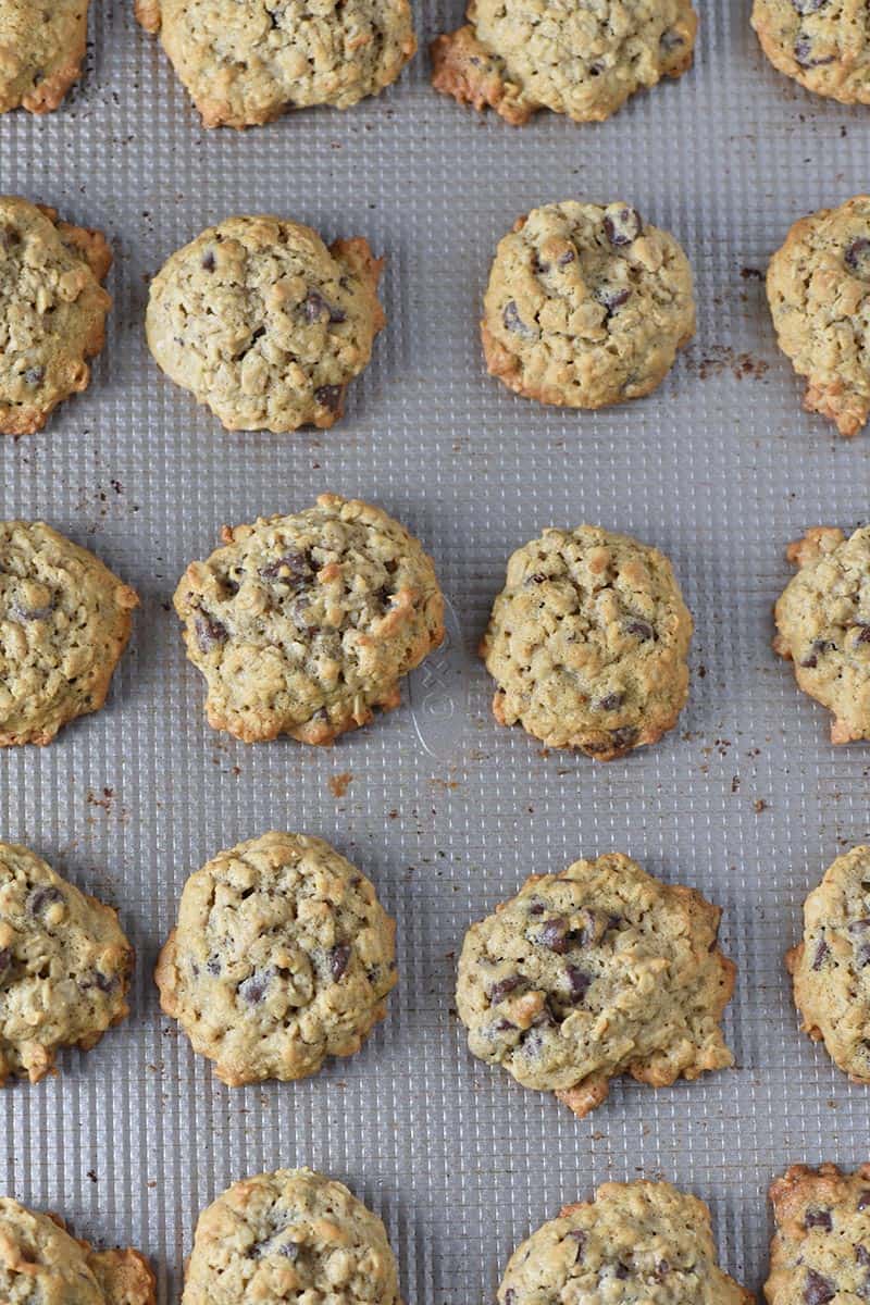 warm baked easy oatmeal cookies with chocolate chips on OXO cookie sheet
