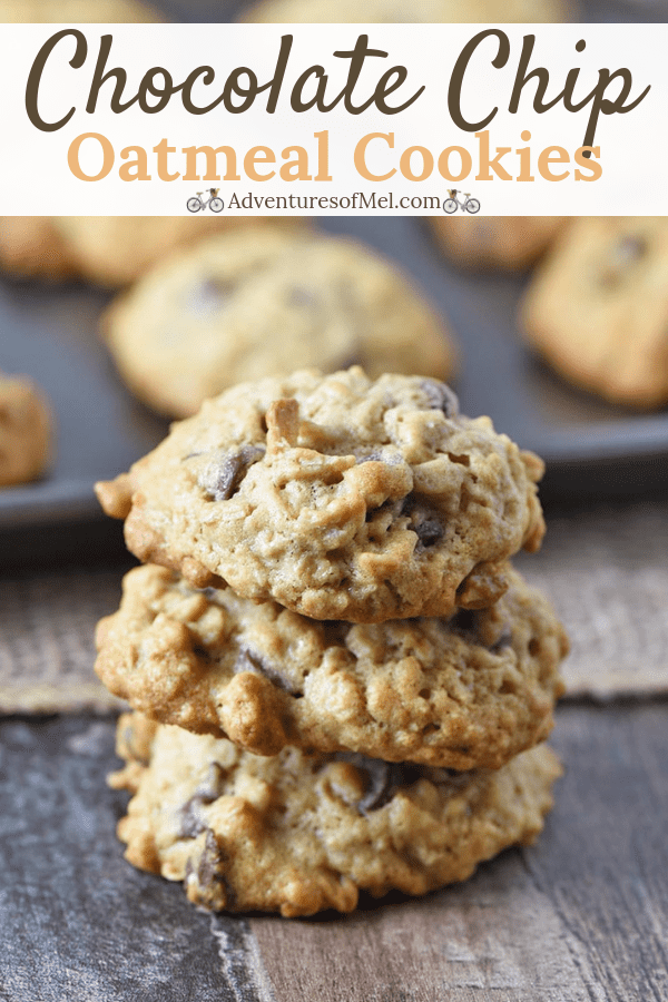 recipe for oatmeal chocolate chip cookies