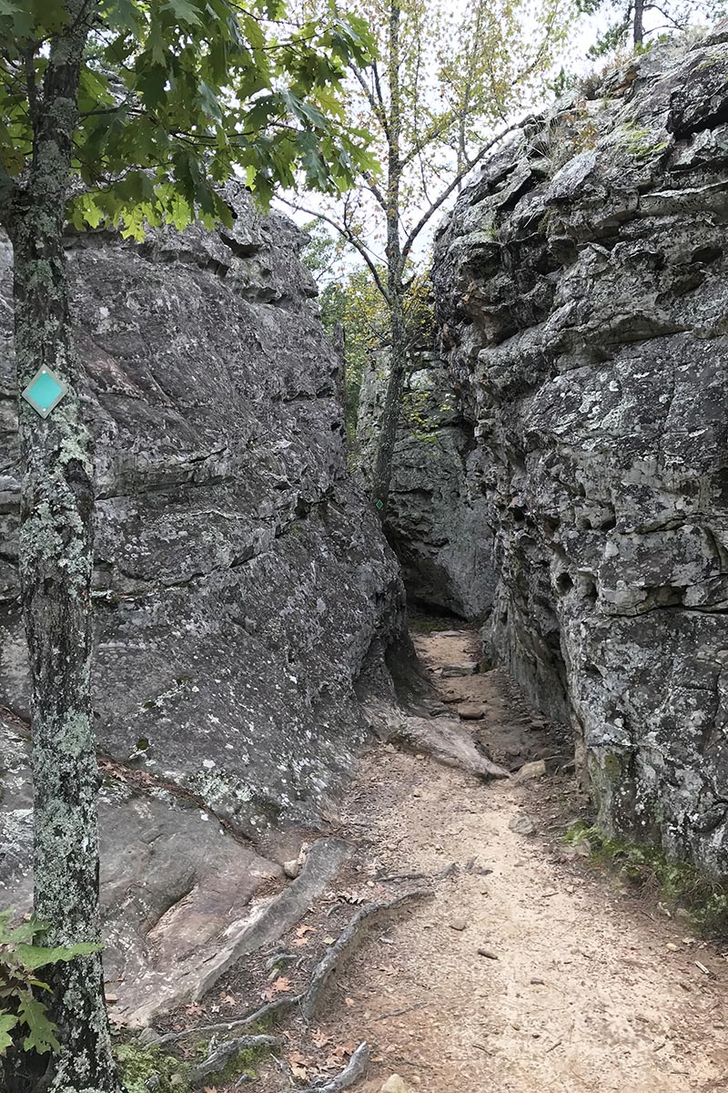 green trail marker on tree and narrow crevice trail along Bear Cave Trail in Petit Jean