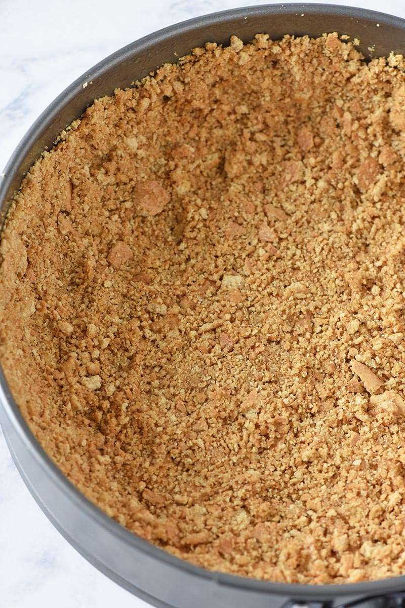 graham cracker crust in springform pan for cheesecake recipe