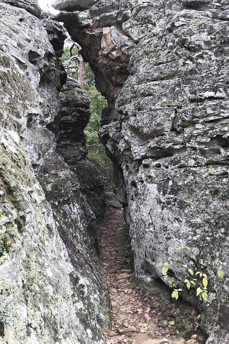 narrow crevice trail on Bear Cave Trail in Petit Jean State Park