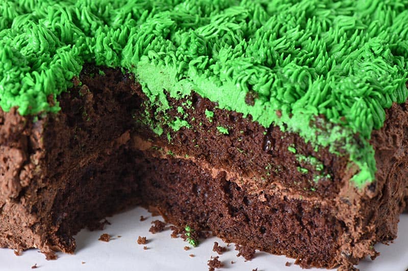 sliced chocolate grass block Minecraft cake 