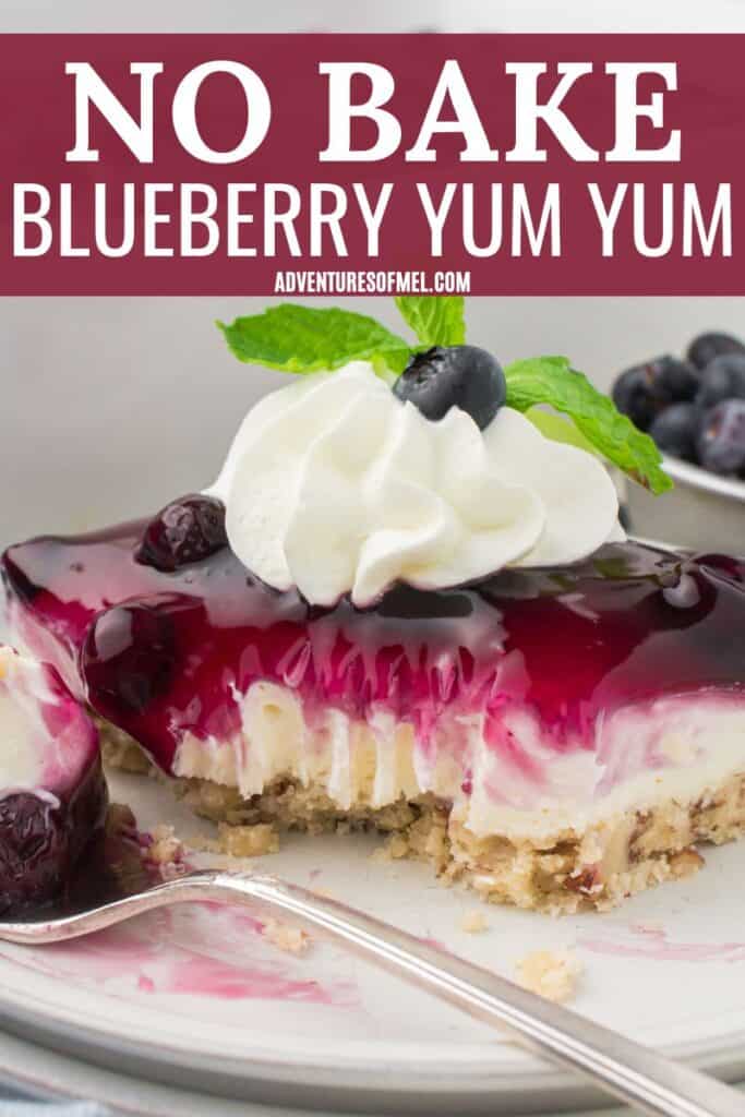 photo pin showing perfectly clean slice of blueberry yum yum with a dollop of whipped cream and fresh blueberries on top