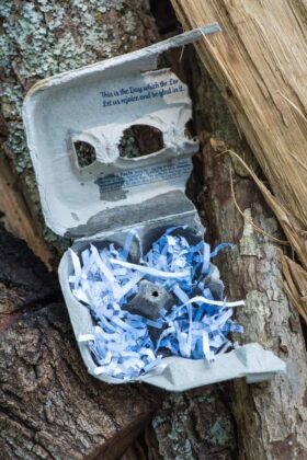 Easy Homemade Fire Starters That Work like a Charm