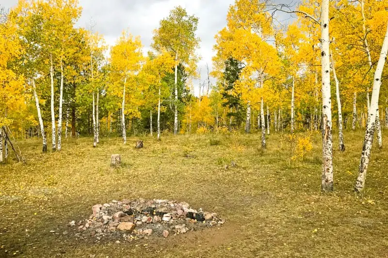 national forest camping in Colorado with fire ring in golden aspen trees