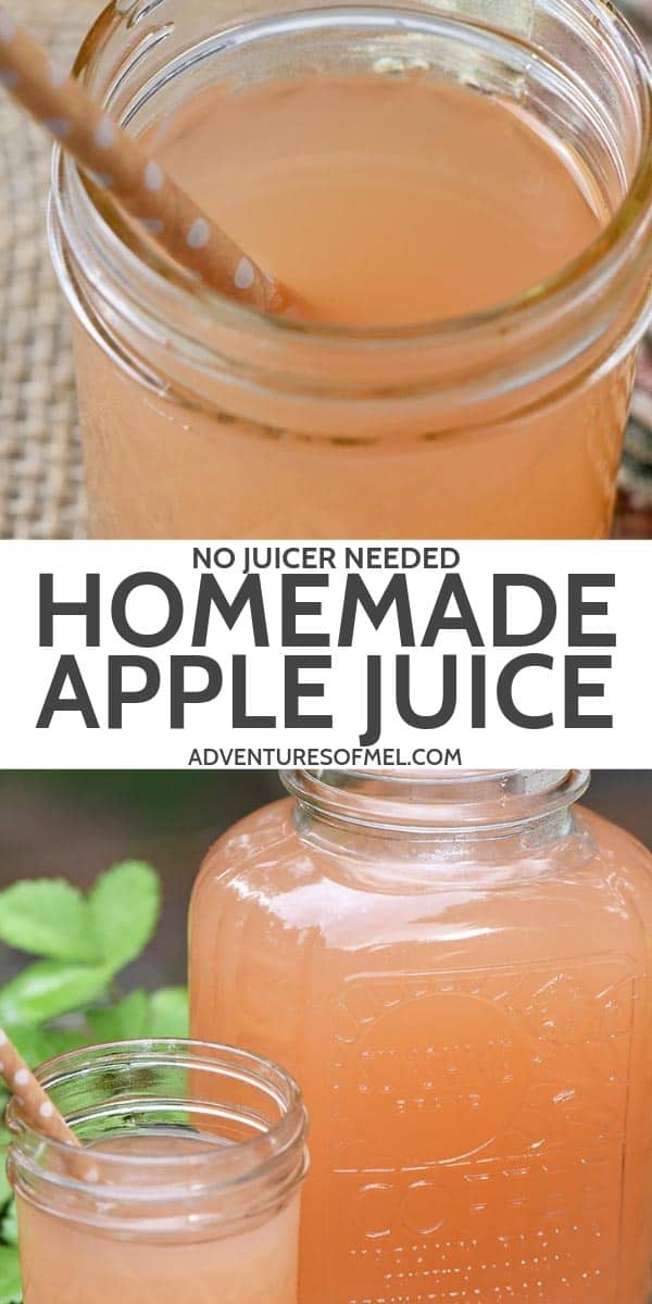 homemade apple juice recipe