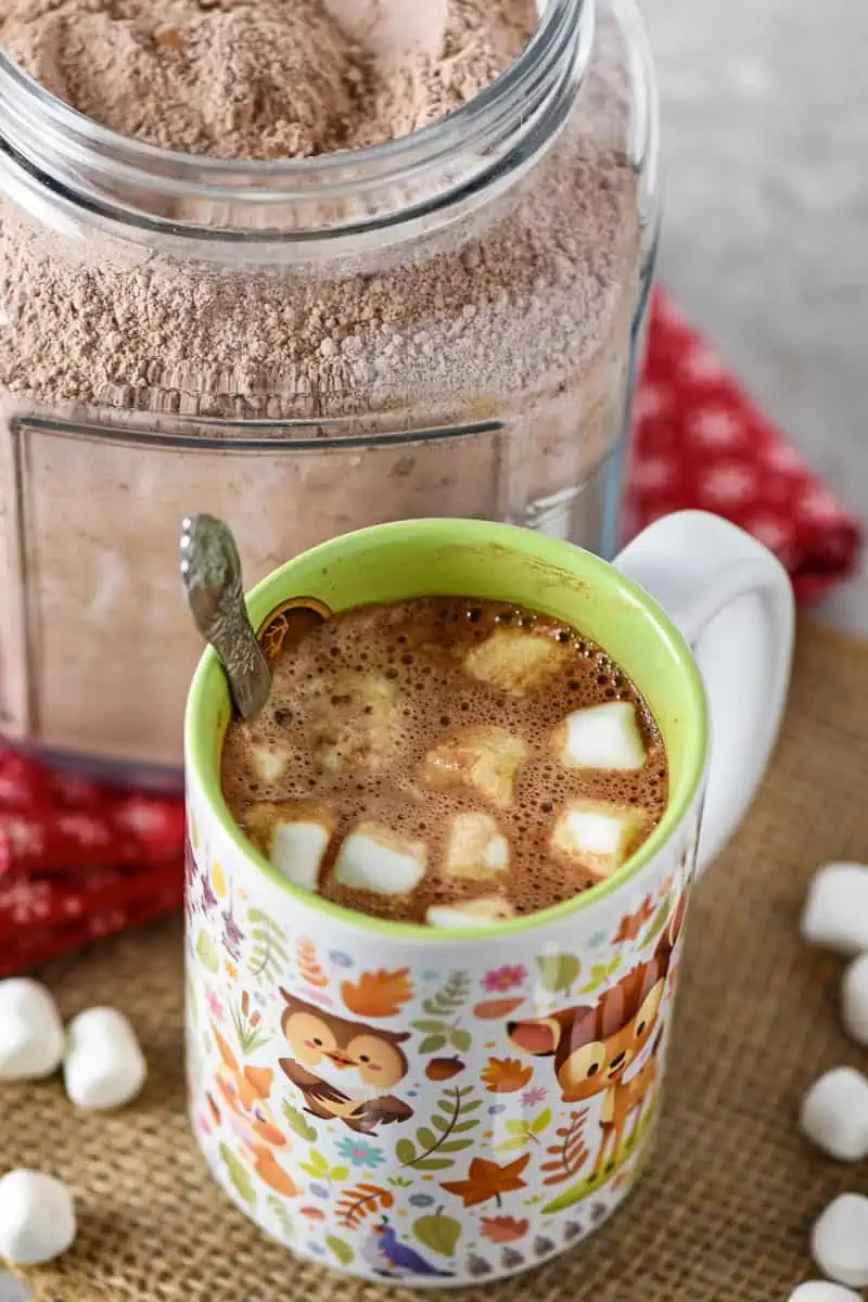 hot chocolate mix recipe in cracker jar and made into homemade hot chocolate with mini marshmallows in Disney Bambi mug