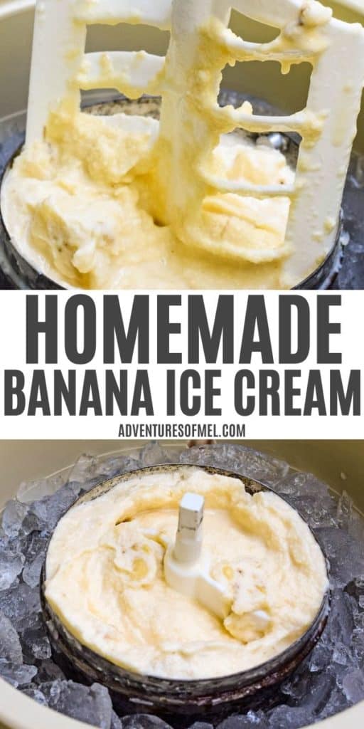 churn paddle lifted out of canister full of homemade banana ice cream, canister full of old fashioned banana ice cream with churn paddle in place