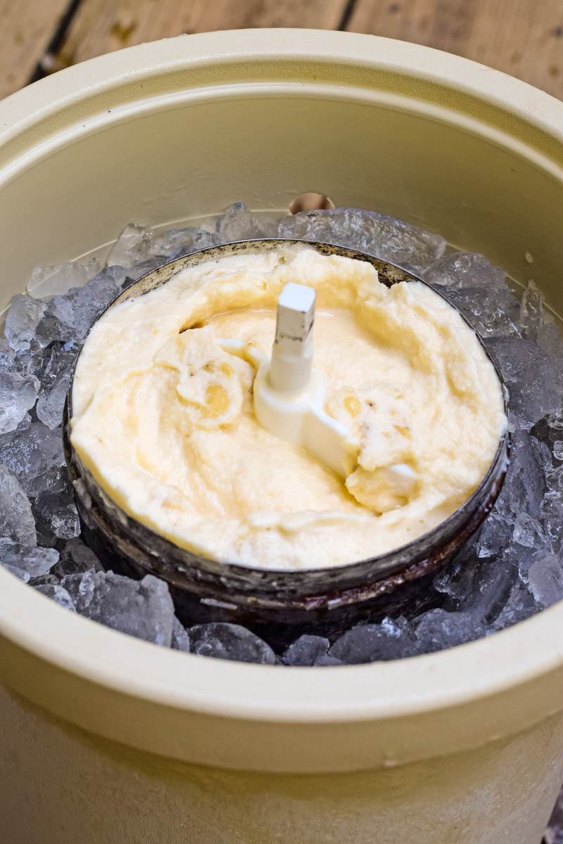 old-fashioned banana ice cream frozen and ready to eat with churn paddle in metal ice cream canister, placed down in plastic ice cream maker tub full of ice and rock salt
