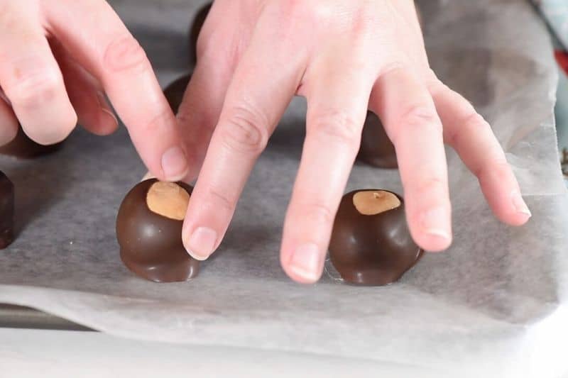 fingers smoothing and covering buckeye toothpick holes after dipping in chocolate