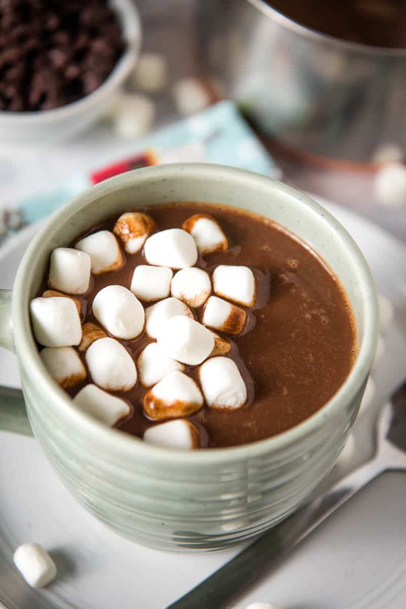 creamy hot chocolate with mini marshmallows in light blue-green mug on gray plate