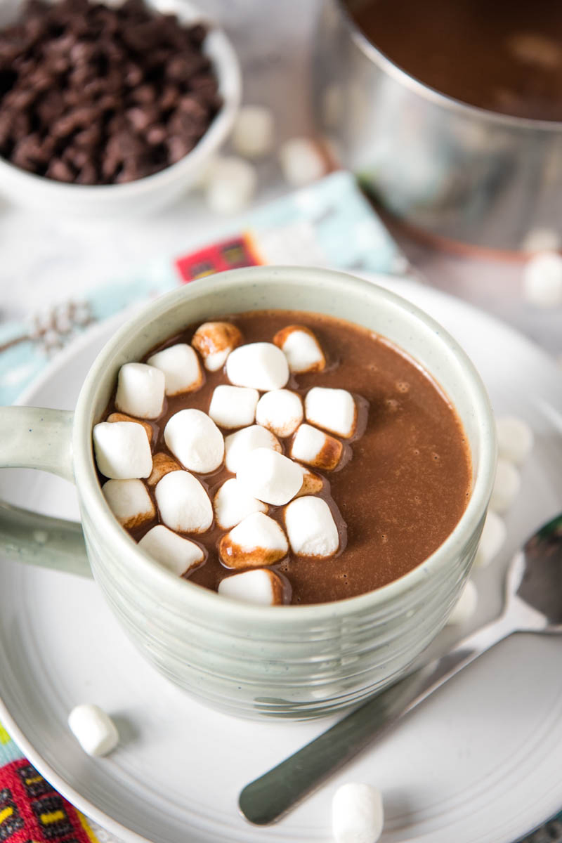 light blue mug of hot chocolate with chocolate chips, topped with mini marshmallows, sitting on gray plate with spoon and more marshmallows