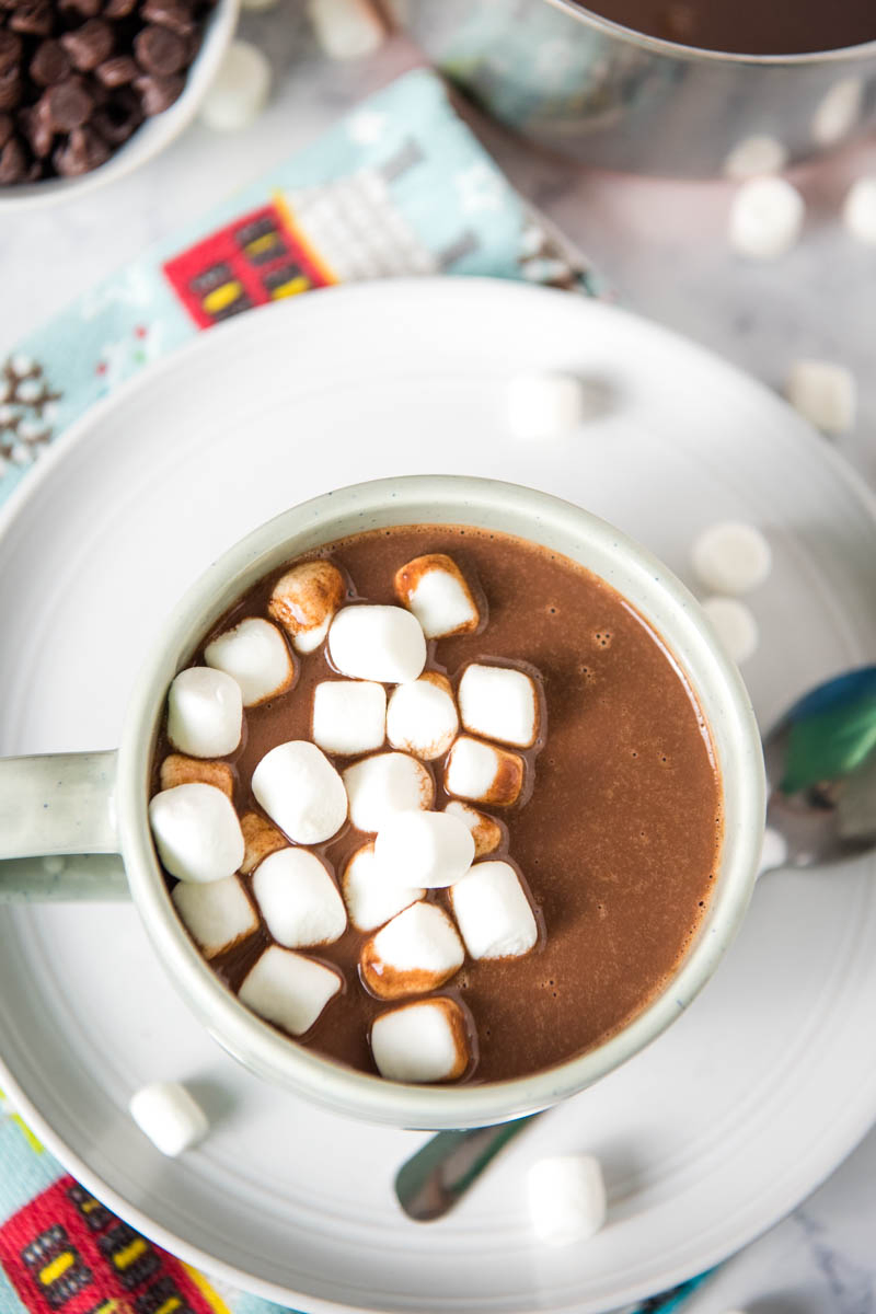 light blue mug with creamy hot chocolate and mini marshmallows, sitting on gray plate