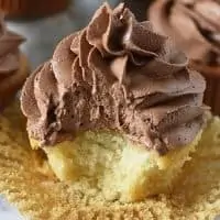 chocolate buttercream frosting on yellow cupcake
