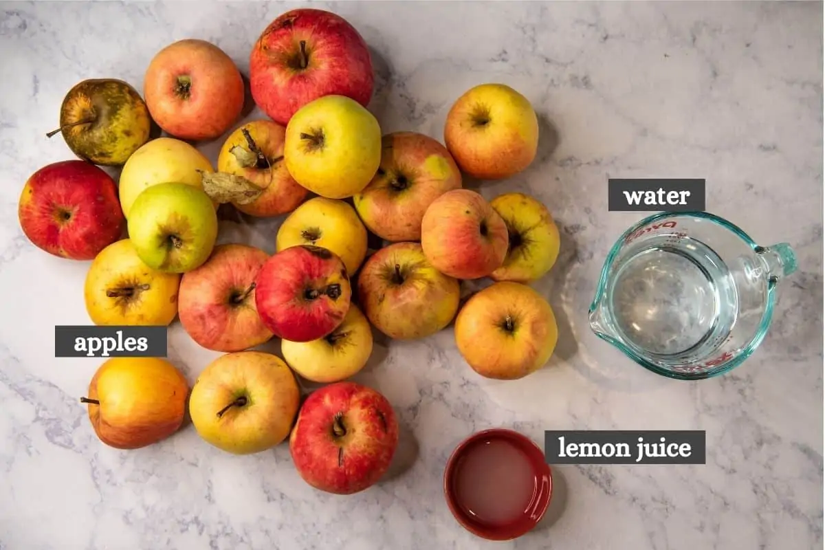 ingredients for pressure cooker applesauce, including apples, lemon juice, and water