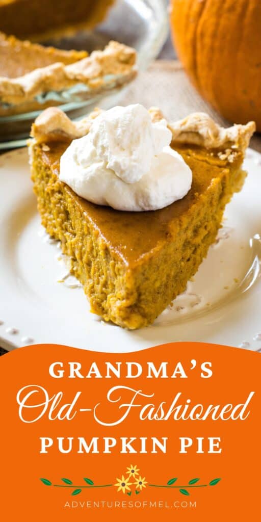 slice of old-fashioned pumpkin pie with whipped cream on white plate
