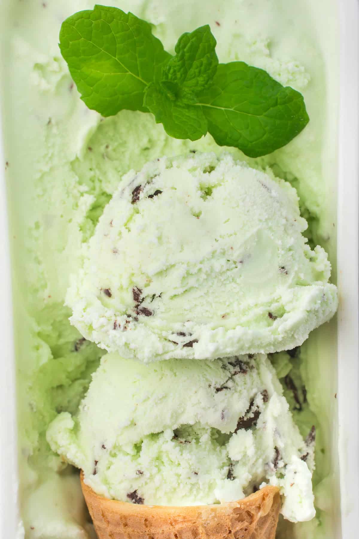 rolled scoops of mint chip ice cream in a white container with a sprig of mint leaves on top as a decorative garnish