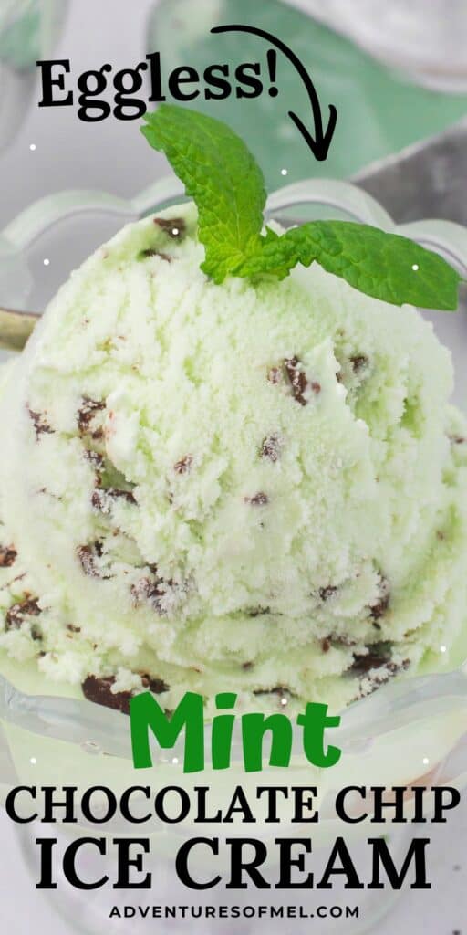 1 photo pin showing a scoop of eggless mint chocolate chip ice cream in a small glass ramekin dish with a decorative sprig of mint leaves on top for garnish
