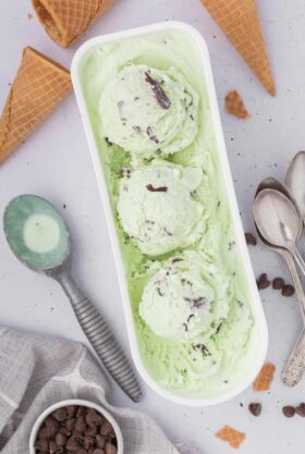 Easy Homemade Mint Chocolate Chip Ice Cream Recipe