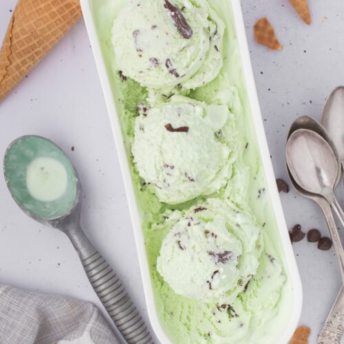 homemade mint chocolate chip ice cream in a white rectangular ice cream tub